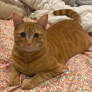 Meet your Posher, Michele